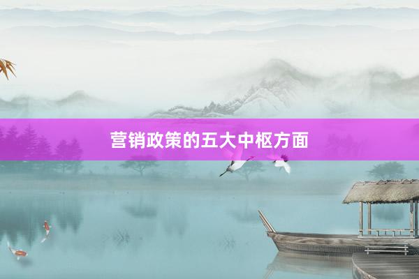 营销政策的五大中枢方面